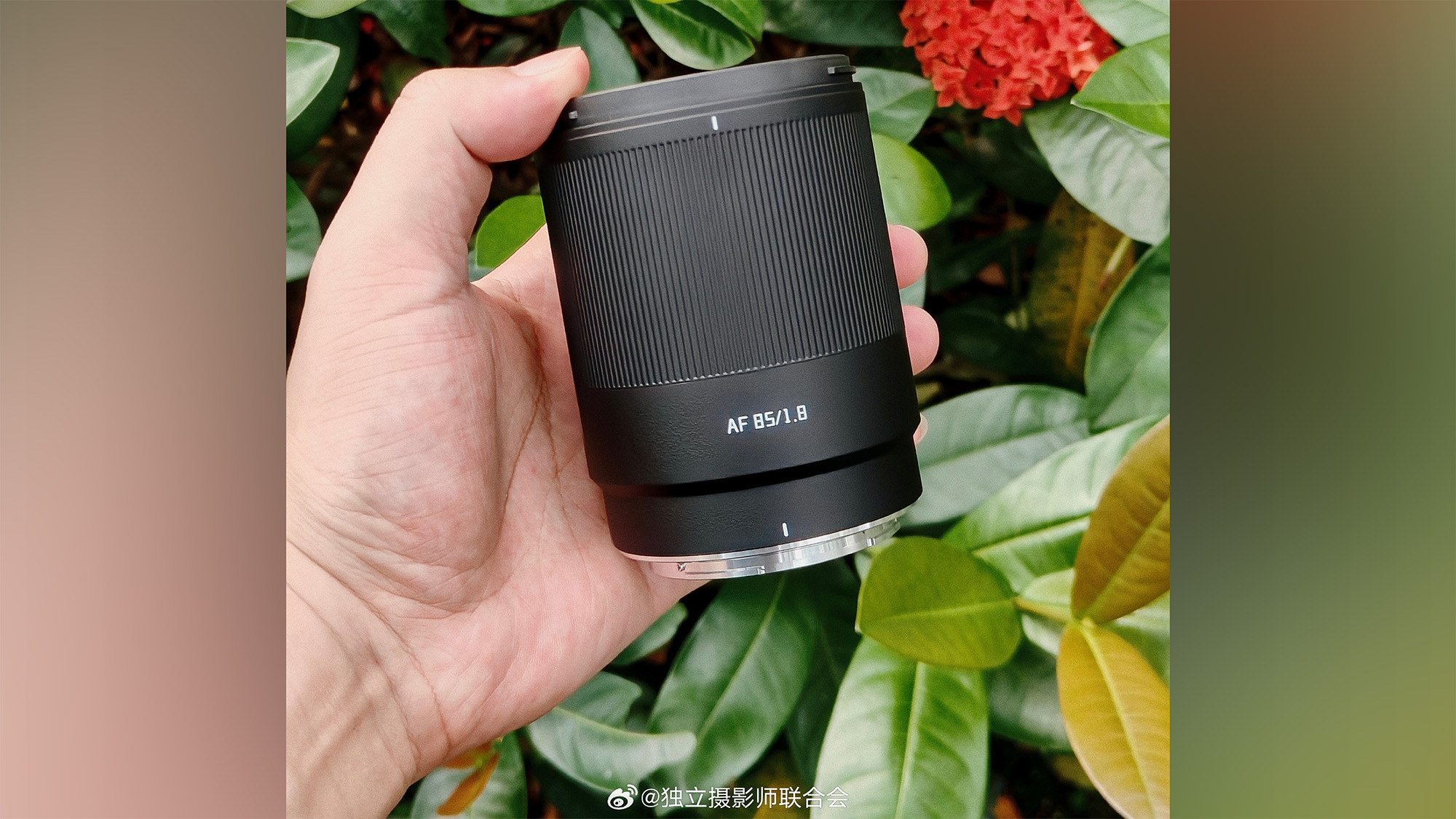 Independent Photographers Association image of hand holding TTArtisan AF 85mm f/1.8 Neo in front of vegetation 