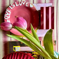 Dark pink plate, striped box, pink tulip and coffee table book placed on red and white striped fabric surface
