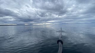 sea kayaking paddle