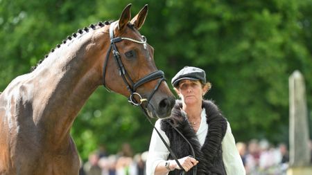 Caroline Powell and Greenacres Special Cavalier at the Bramham Horse Trials final trot-up 2026.