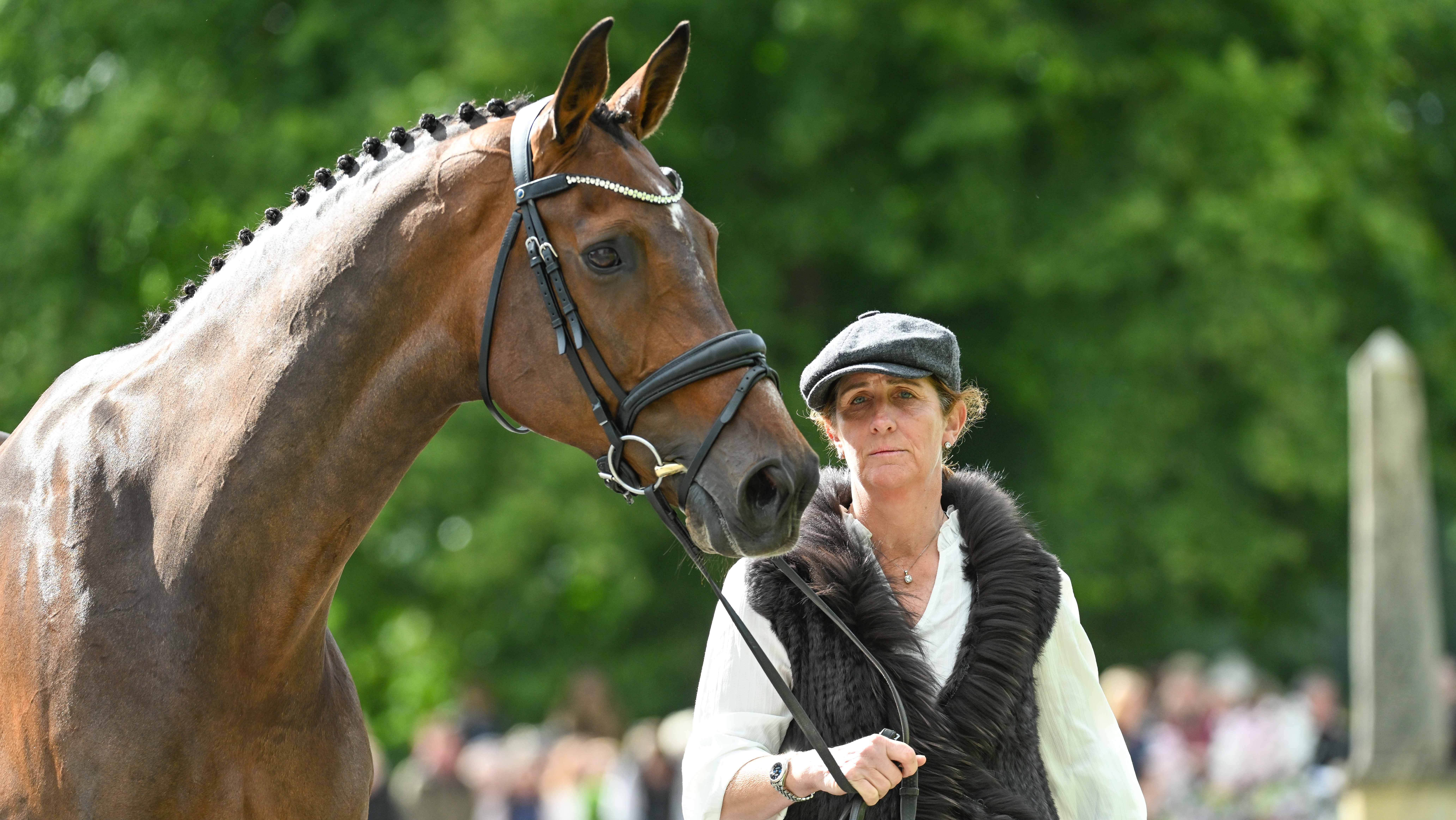 Caroline Powell and Greenacres Special Cavalier at the Bramham Horse Trials final trot-up 2026.