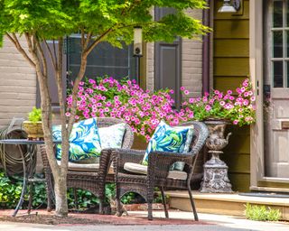 Outdoor dining area in front yard