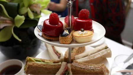 LONDON, ENGLAND - NOVEMBER 09: Atmospehre as Damiani hosts an afternoon tea in aid of Nadedza Foundation at Morton's Club on November 9, 2016 in London, England. (Photo by Tim P. Whitby/Getty Images for Damiani)