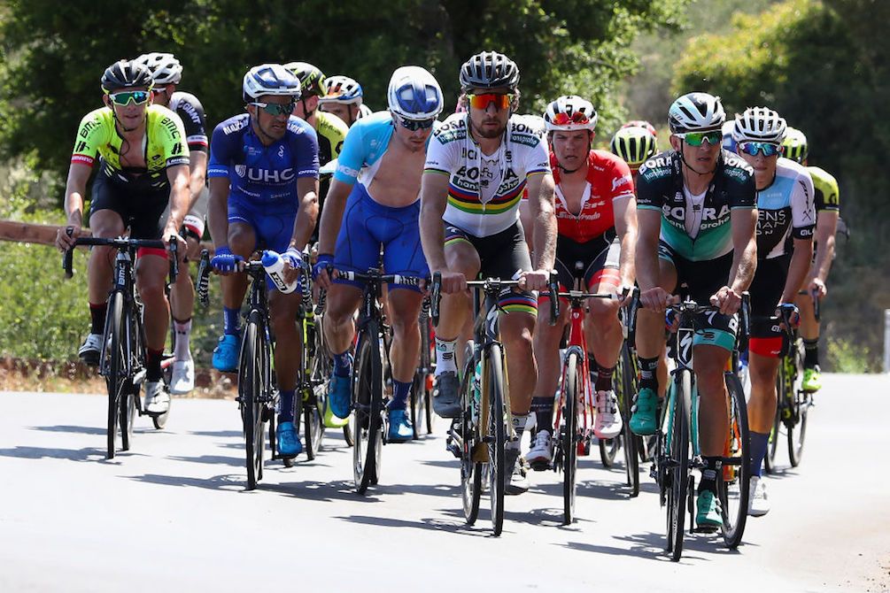 World champion Peter Sagan (Bora-Hansgrohe) leads the bunch on stage 2 of the 2018 Tour of California