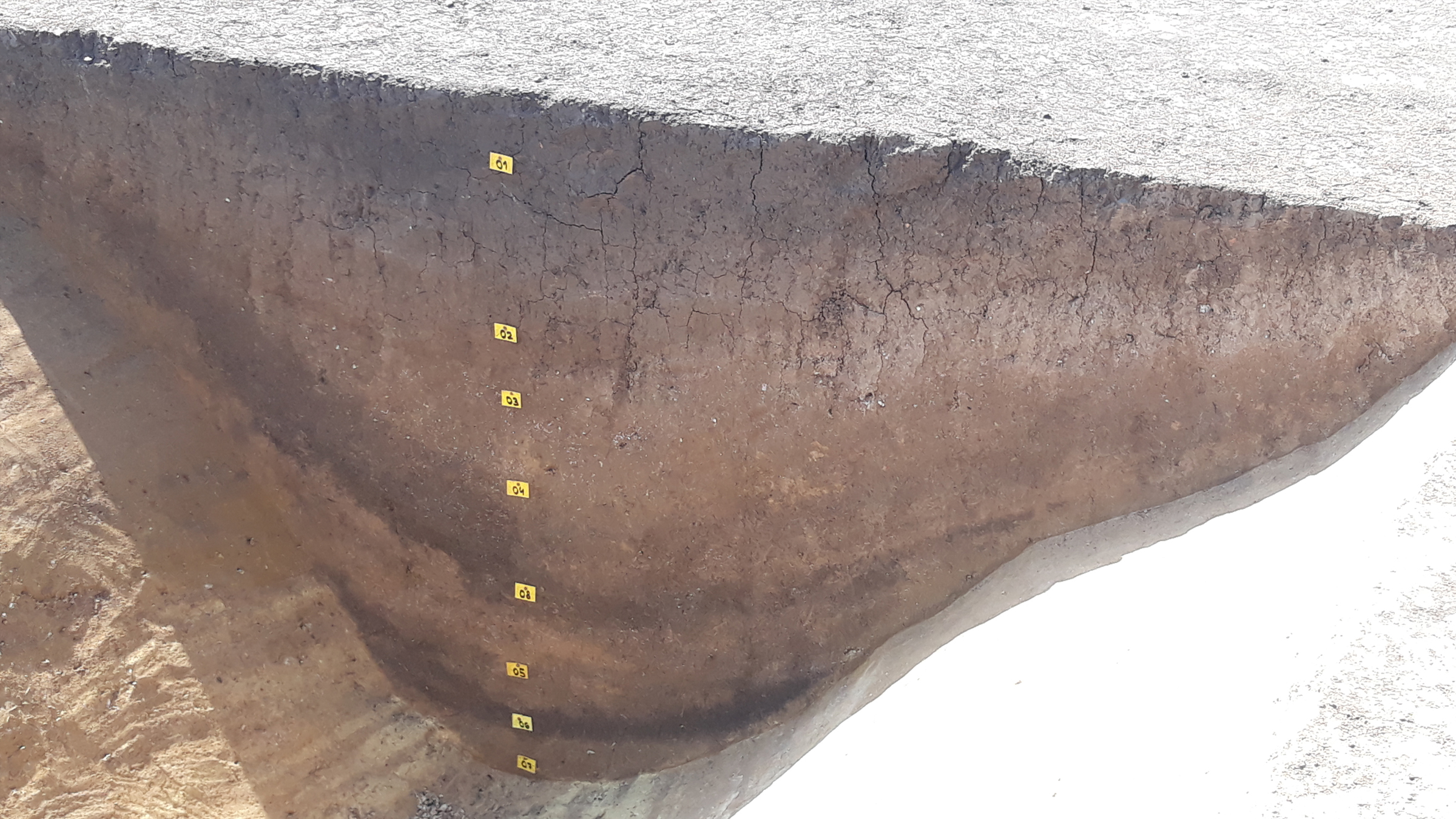 A trench wall revealing stratigraphy (different layers) of the excavation.