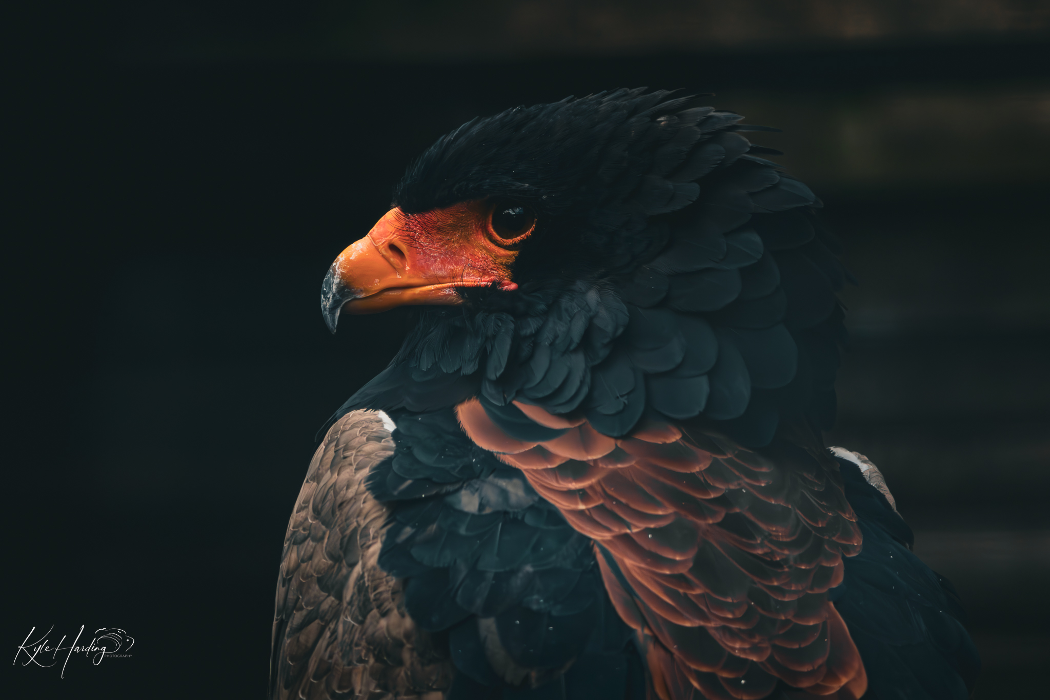 GuruShots - Nature&rsquo;s Masterpiece 2026