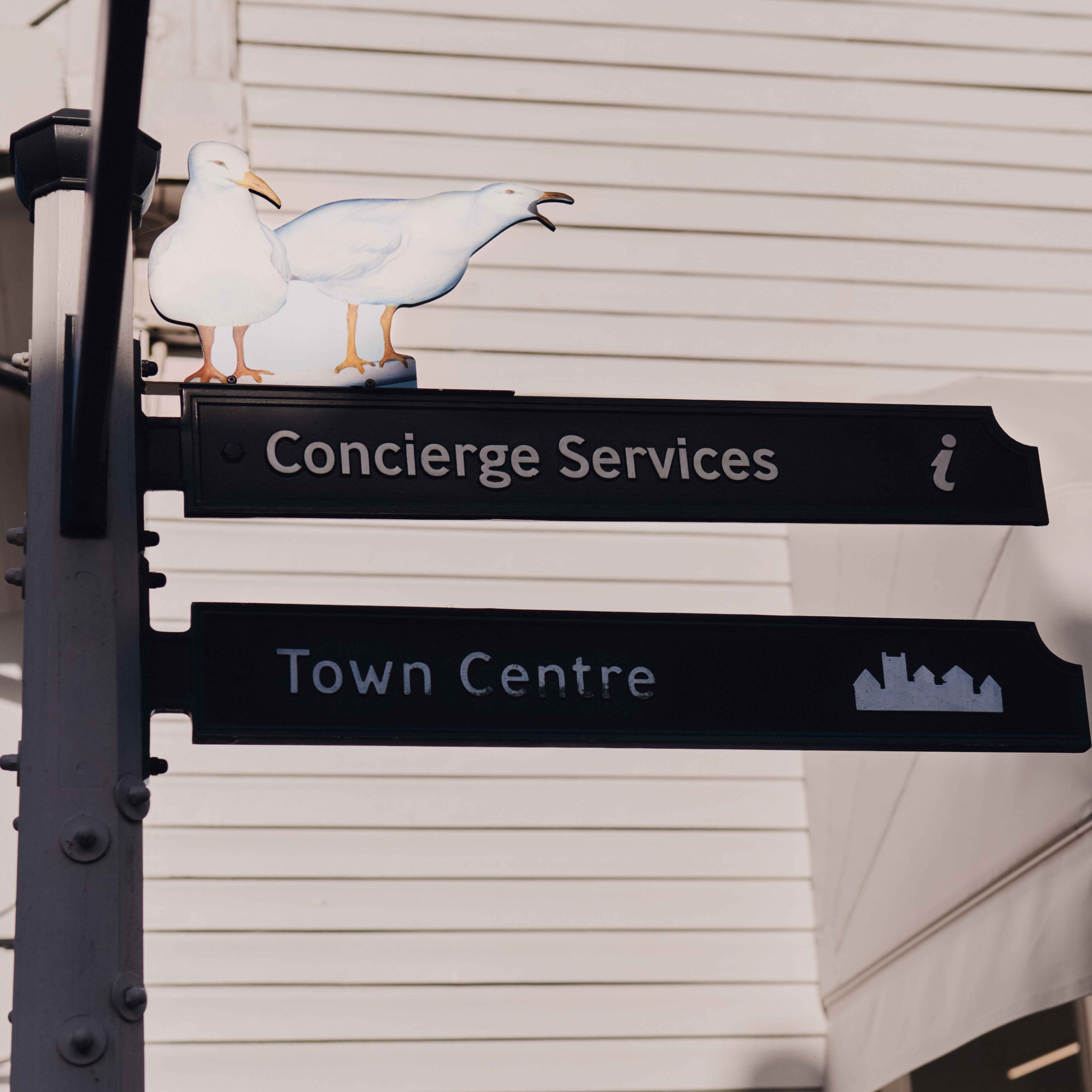 Bicester Village x Beryl Cook
