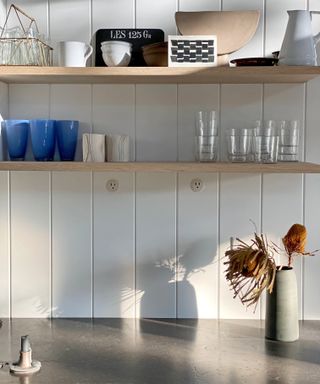 White paint and kitchen accessories