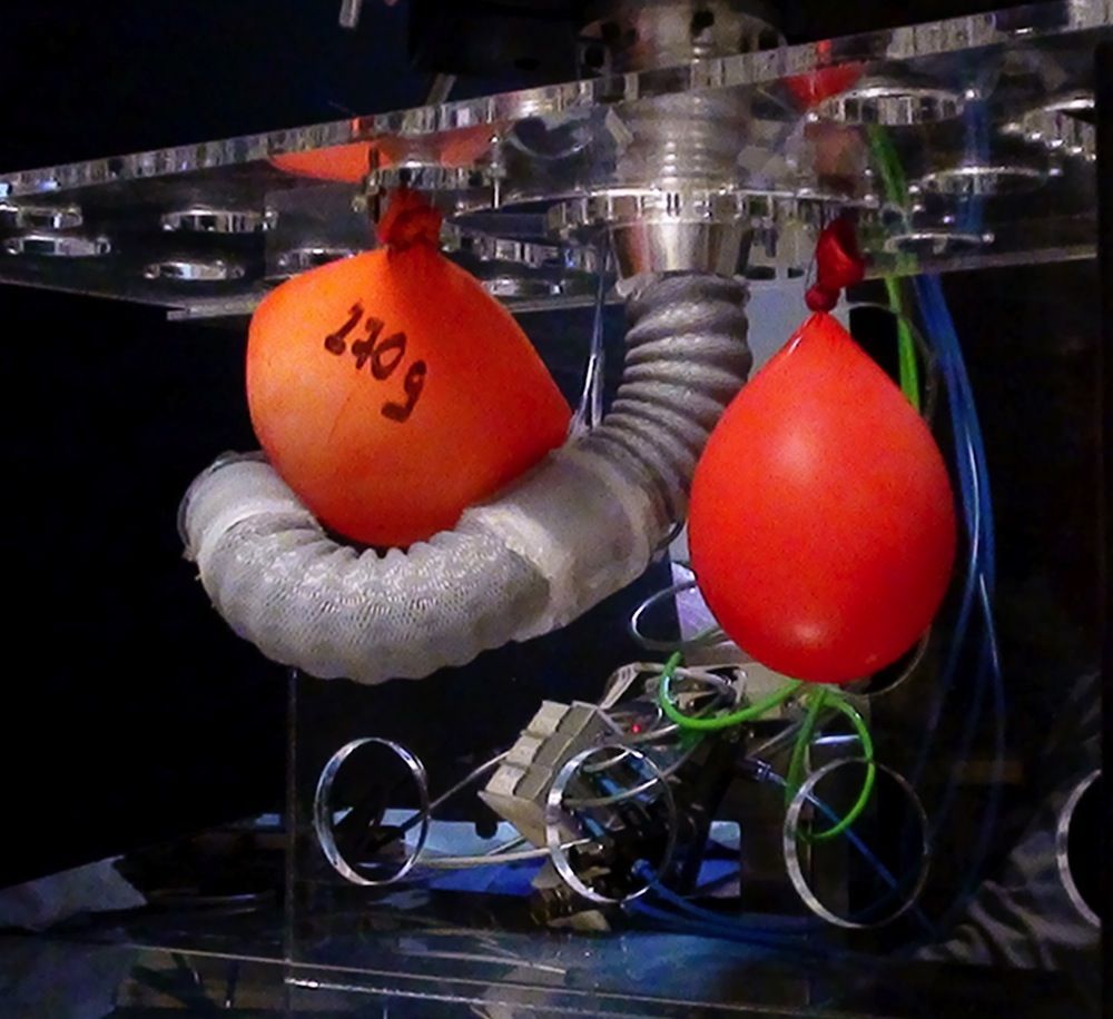 Octopus-Inspired Robotic Arm