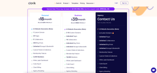 screenshot of Dorik website builder pricing page