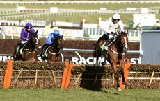 Faugheen-Cheltenham15.jpeg
