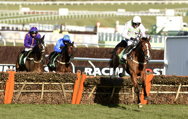 Faugheen-Cheltenham15.jpeg