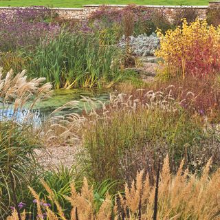 autumn garden