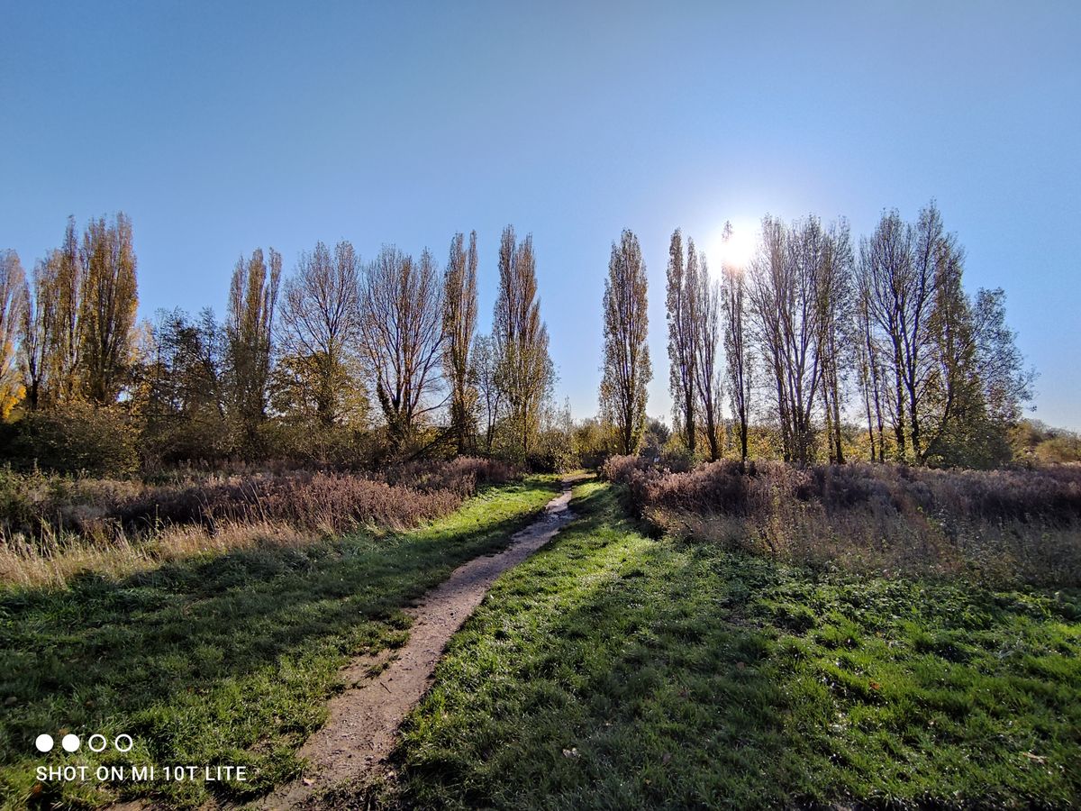Xiaomi Mi 10T Lite camera sample