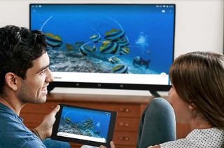 A couple casting a Google Chromecast to a TV