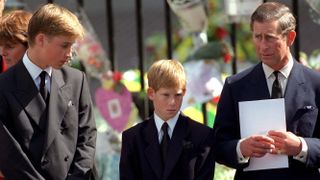 Prince William Harry conversation Princess Diana's death