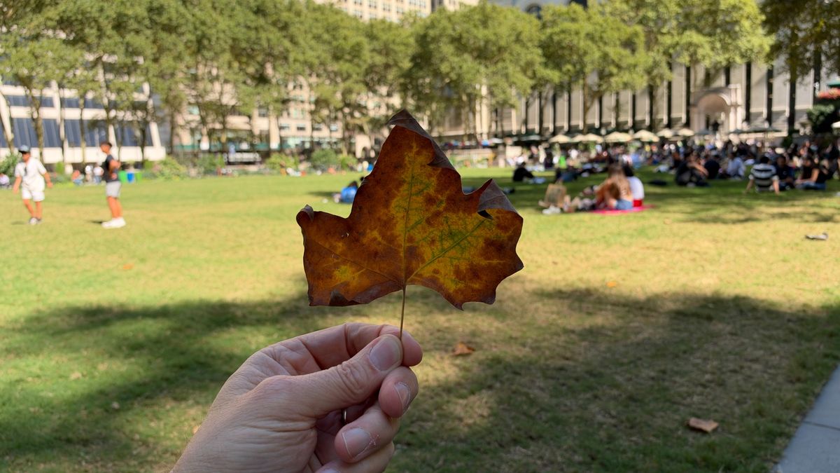 iPhone 18 Pro Max variable aperture test