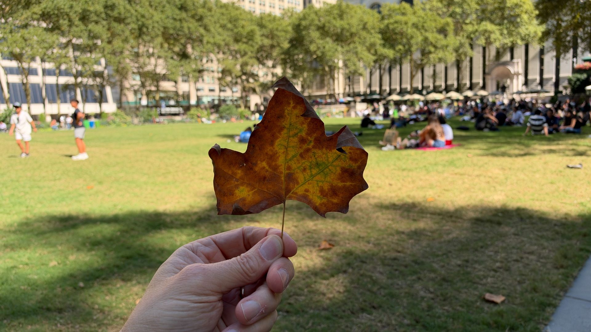 iPhone 18 Pro Max variable aperture test