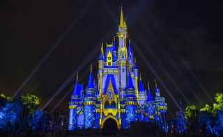 Walt Disney World Christmas castle