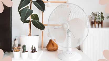 picture of electric fan on desk beside a houseplant to support expert tips and fan hacks to stay cool