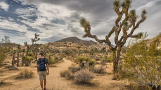A hiker in joshua tree national park