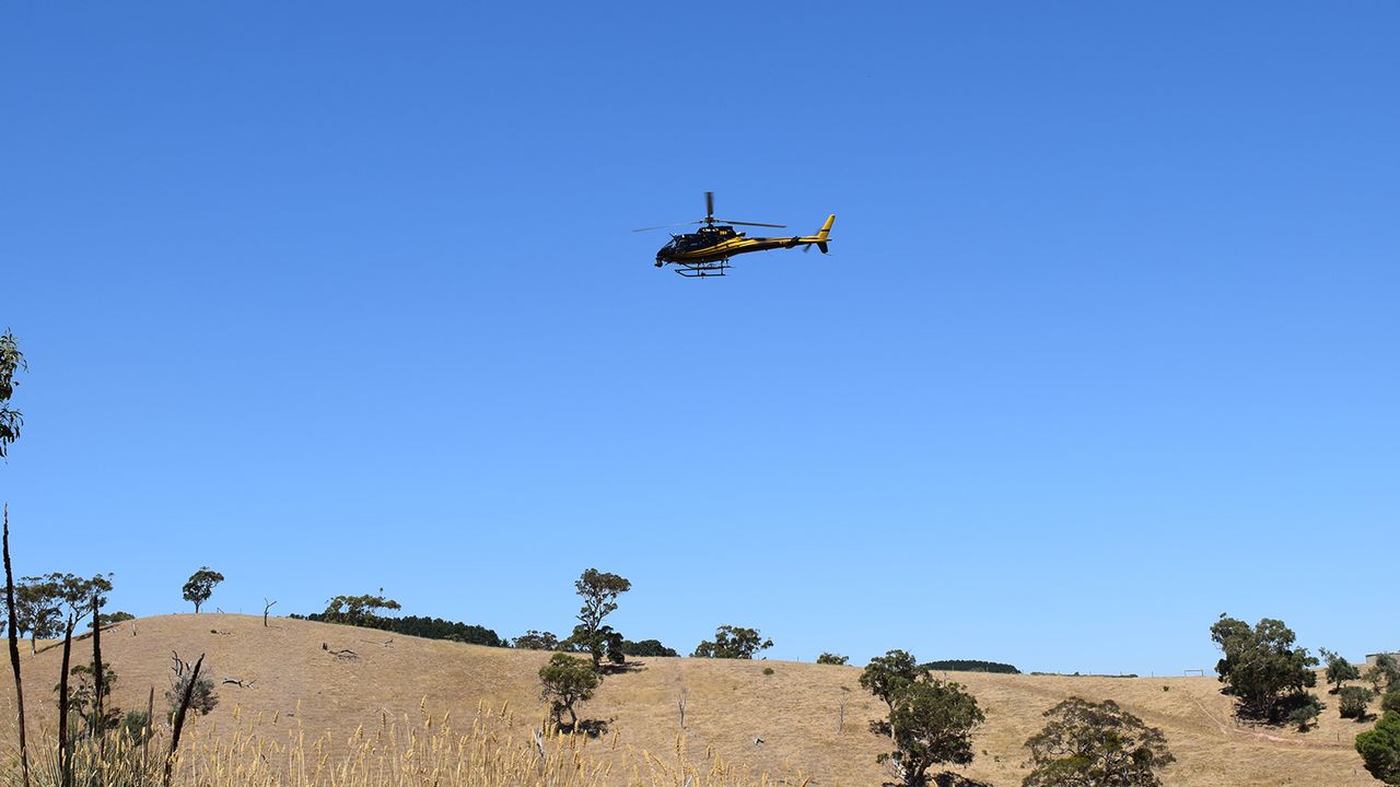 Two helicopters follow the Tour Down Under providing live television coverage of the race