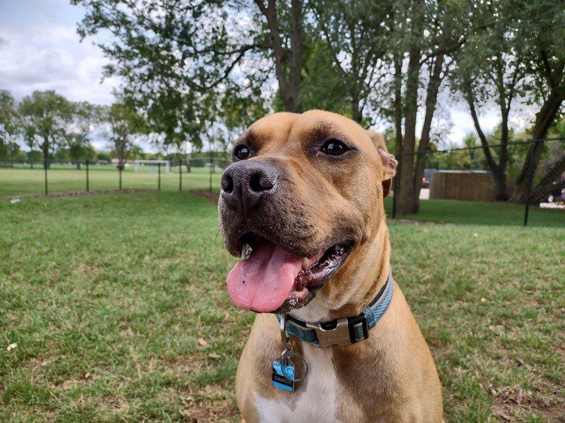 Motorola One 5G Camera Sample