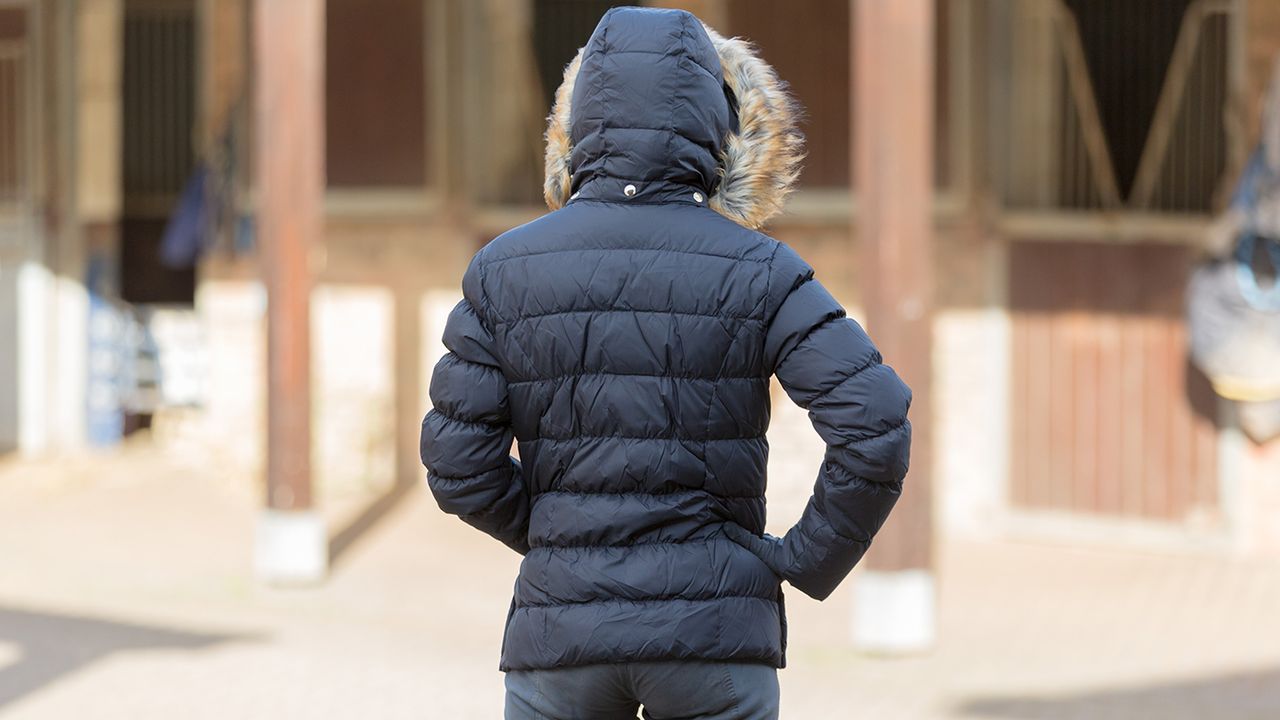 Mountain Horse Lauren down jacket review