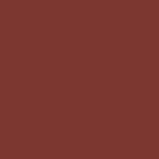 Dark red color swatch