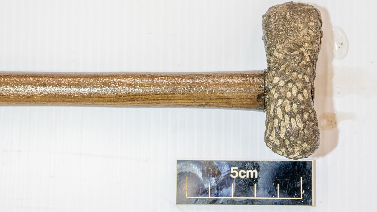The ax was likely symbolic and not functional.