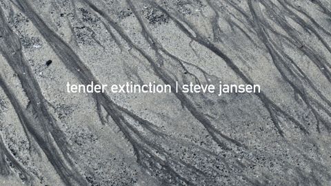 Album artwork for Steve Jansen's Tender Extinction