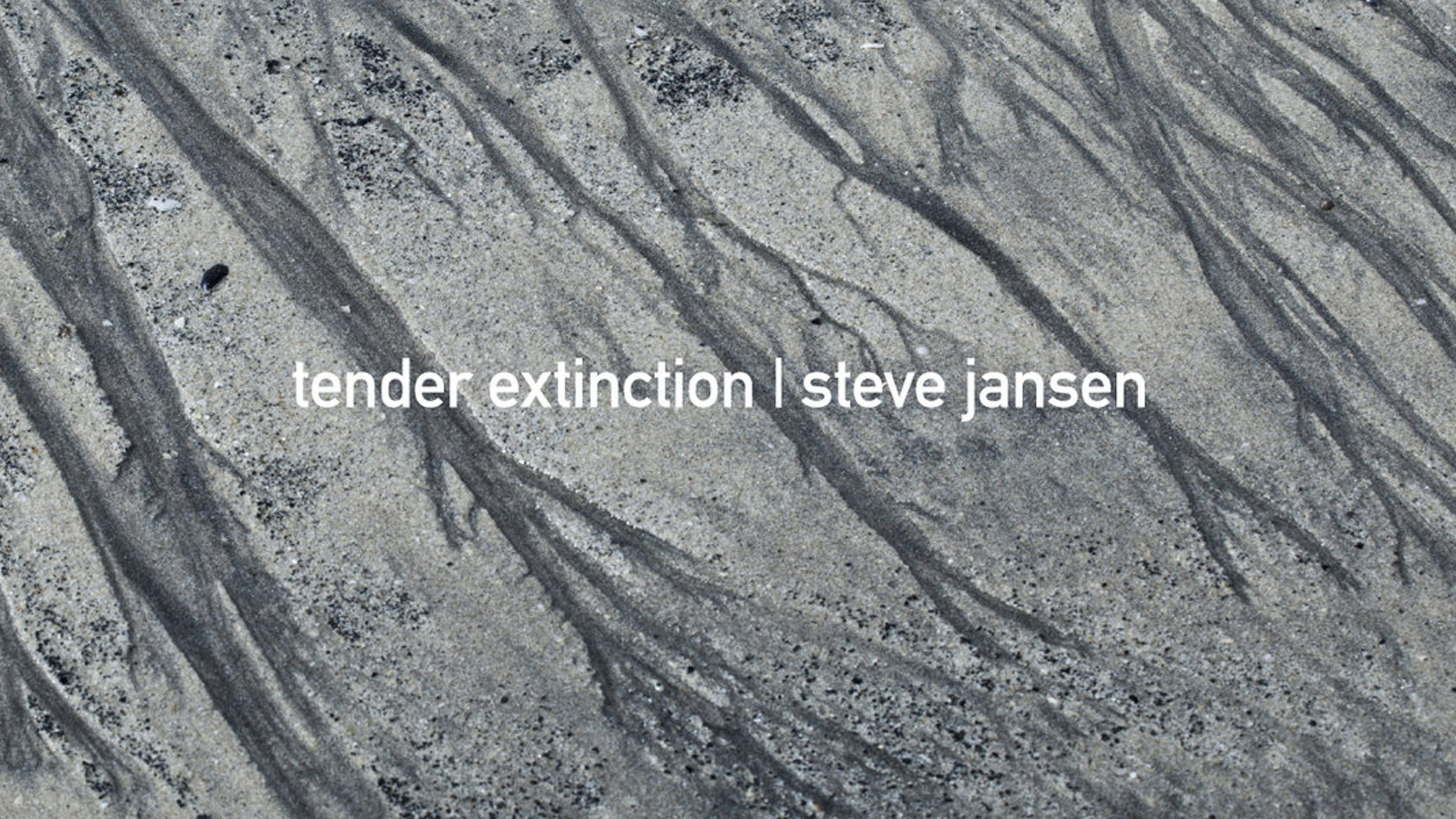 Album artwork for Steve Jansen&#039;s Tender Extinction