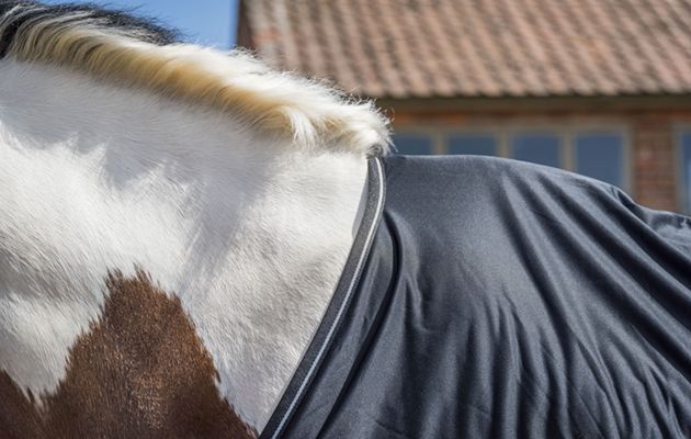 Bucas Power Cooler review