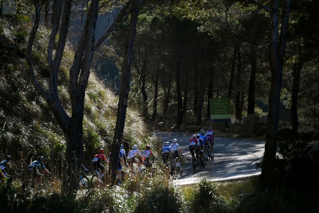 The views of the Challenge Mallorca