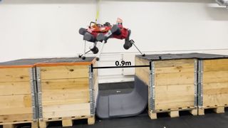 The four-legged dog-like robot jumping between boxes