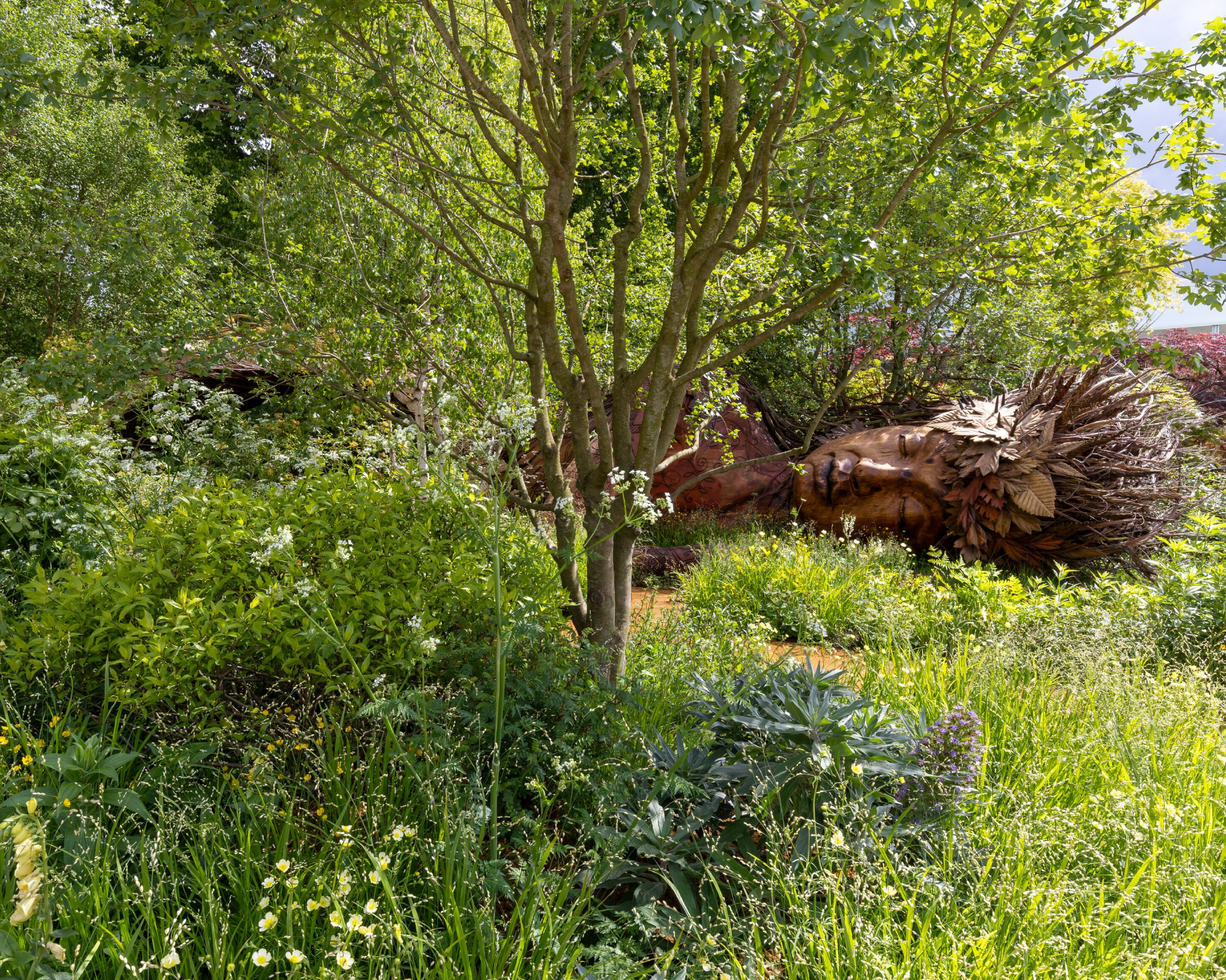 Show garden, RHS Chelsea Flower Show 2026