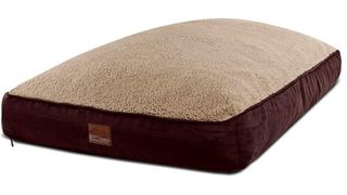 types of dog beds
