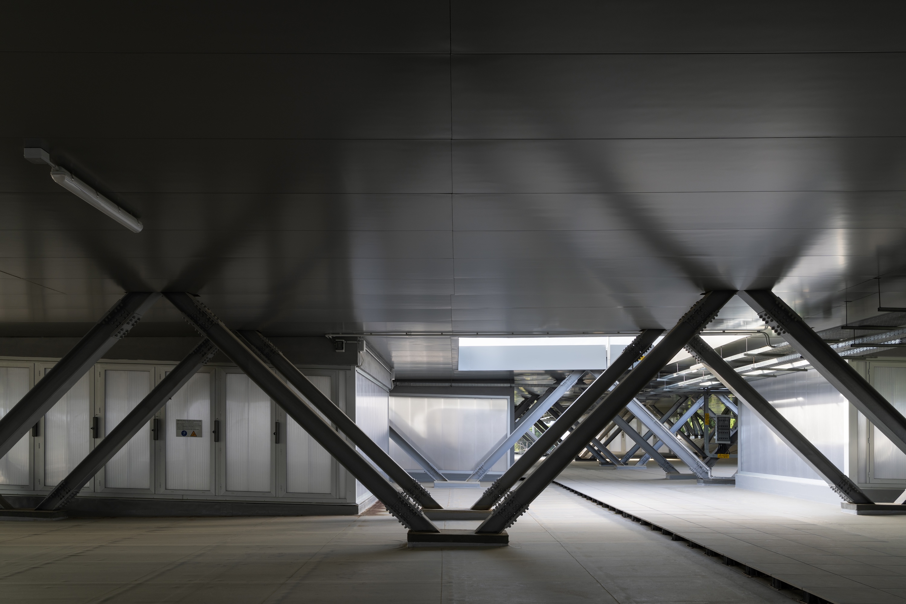 Balenciaga The Plant