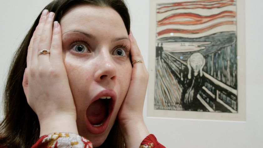 Screaming at The Scream