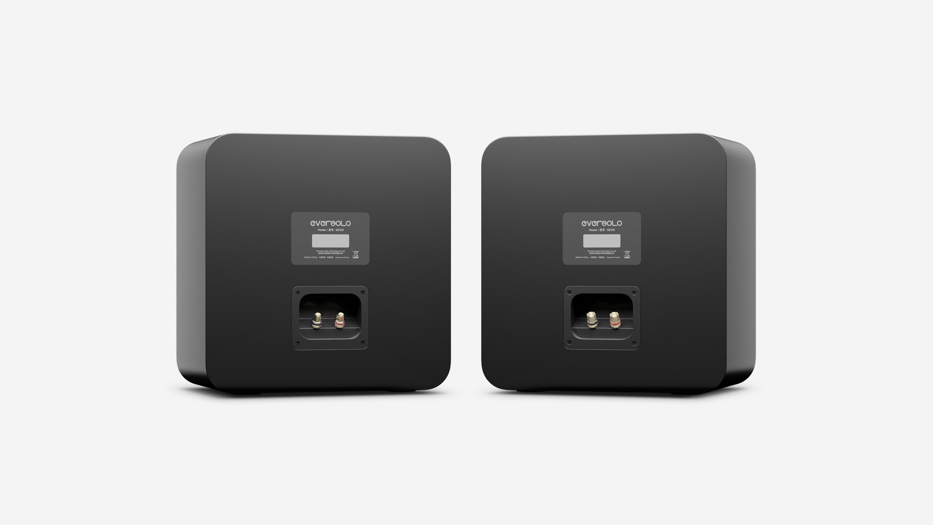 Rear view of Eversolo SE100 square bookshelf speakers