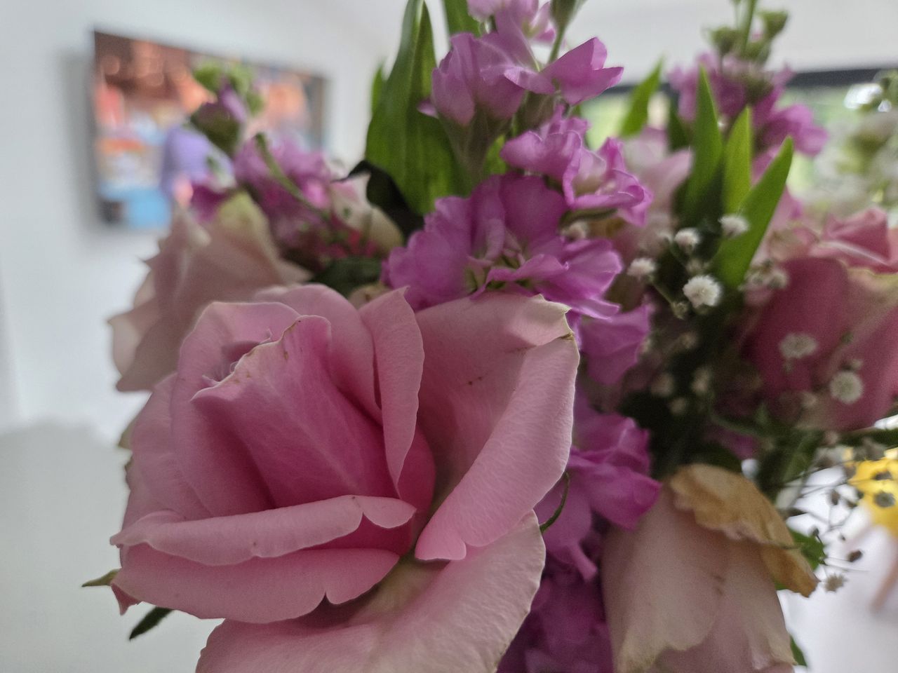 Samsung Galaxy S25 Plus sample photo
