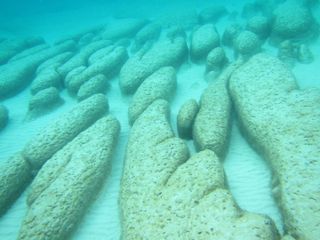 Microbial reefs called stromatolites are examples of biological structures found as far back as 3.7 billion years ago.