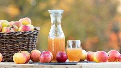 Make apple juice - a pitcher of apple juice on a kitchen counter, surrounded by whole apples.