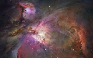 Thousands of stars are forming in the cloud of gas and dust known as the Orion nebula.