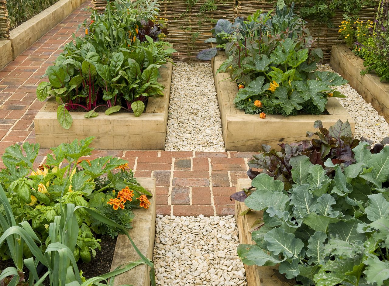 Monty Don vegetable garden tips for March