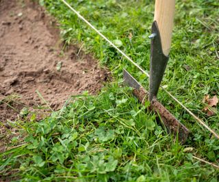 marking out the edge of a flower bed with string