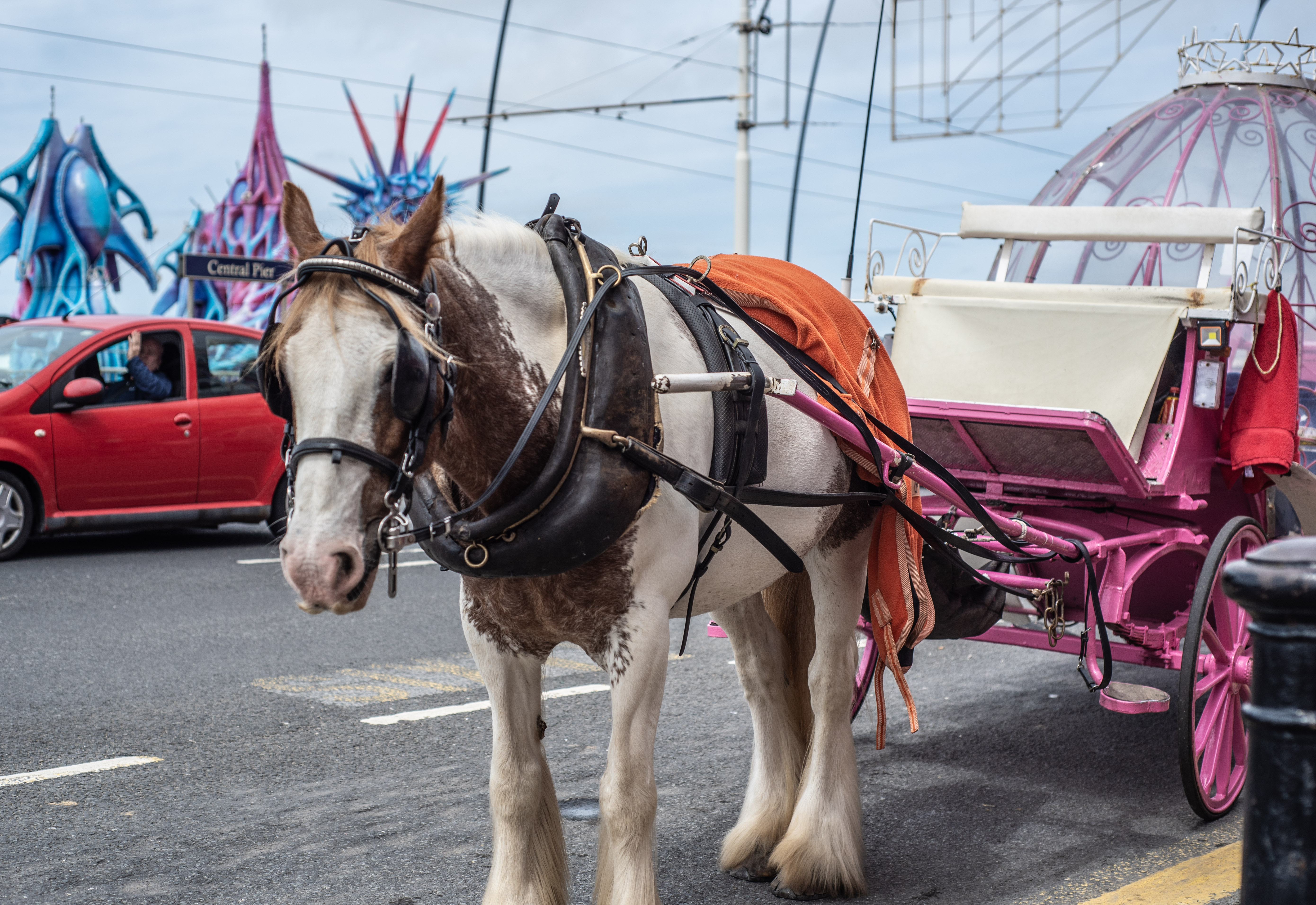 Look for poor, sad horses, being exploited for cheap thrills in tacky rides