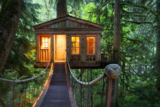 Treehouse with rope bridge and lighting