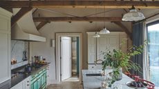 A modern fitted kitchen with an island, exposed beams under a pitched roof and large window. Plants and miscellaneous kitchen items are pictured on countertops, and a white cabinet and open door are pictured in background.