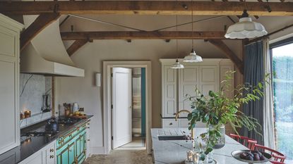A modern fitted kitchen with an island, exposed beams under a pitched roof and large window. Plants and miscellaneous kitchen items are pictured on countertops, and a white cabinet and open door are pictured in background.